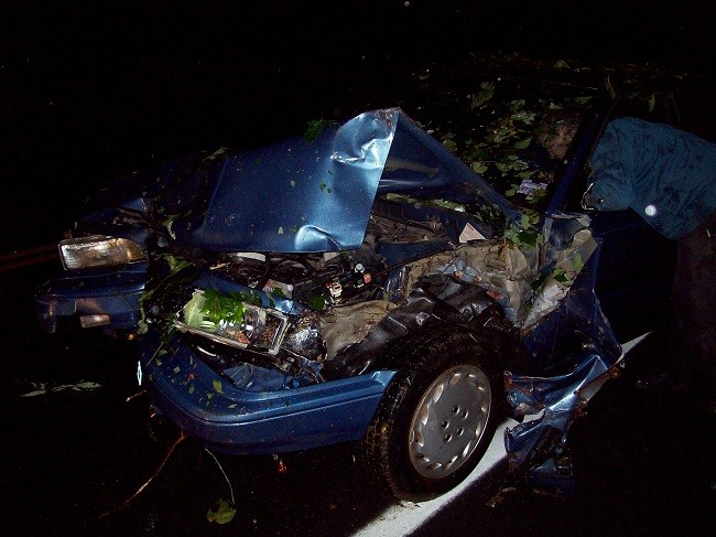 mcfarland 1055 003_650x487